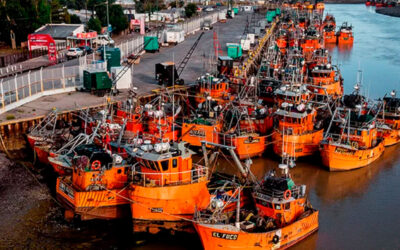 Conflicto gremial marítimo en Chubut: tensión por una medida que paralizó parte de la pesca de langostino
