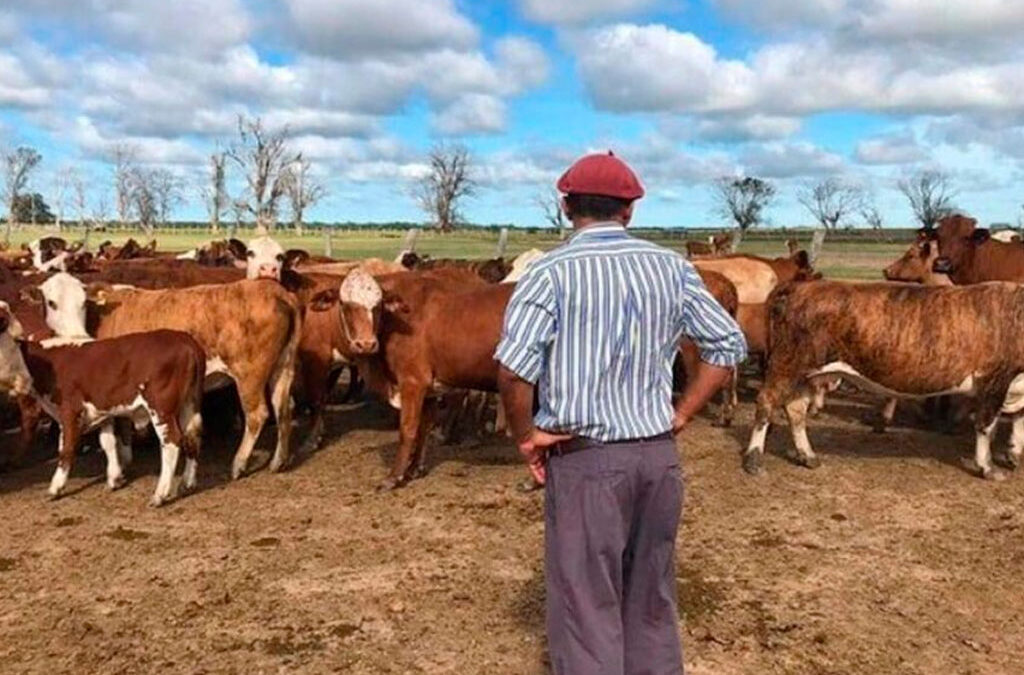 Reforma de la Ley de Trabajo Agrario: Una propuesta equilibrada y oportuna