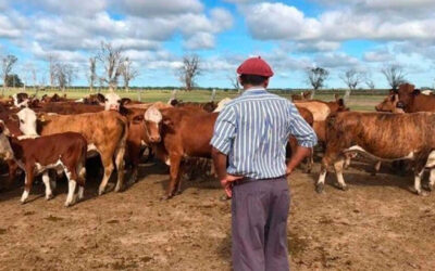 Reforma de la Ley de Trabajo Agrario: Una propuesta equilibrada y oportuna