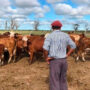 Reforma de la Ley de Trabajo Agrario: Una propuesta equilibrada y oportuna