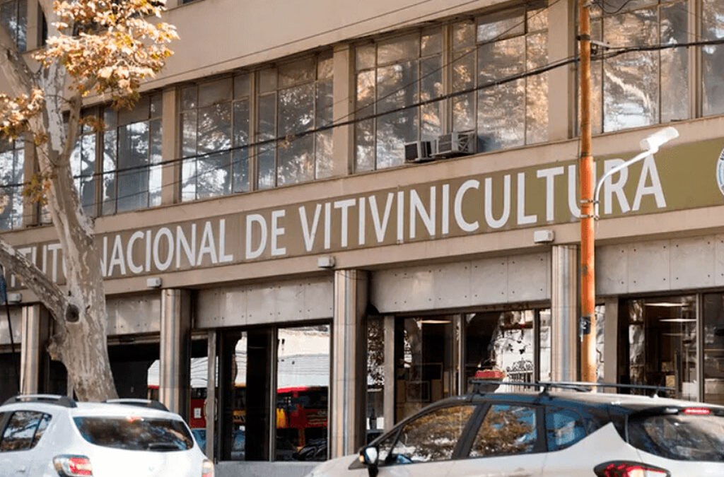 Revés para el Gobierno en el INV: la Justicia ordenó que, por ahora, siga siendo obligatorio un certificado clave