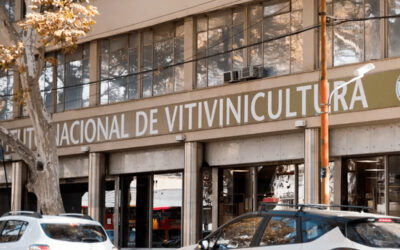 Revés para el Gobierno en el INV: la Justicia ordenó que, por ahora, siga siendo obligatorio un certificado clave