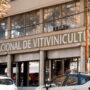 Revés para el Gobierno en el INV: la Justicia ordenó que, por ahora, siga siendo obligatorio un certificado clave