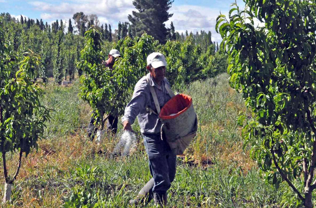 El Sindicato de Obreros de la Fruta de Entre Ríos y Corrientes denunció la usurpación de su sede en Concordia