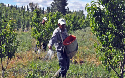 El Sindicato de Obreros de la Fruta de Entre Ríos y Corrientes denunció la usurpación de su sede en Concordia