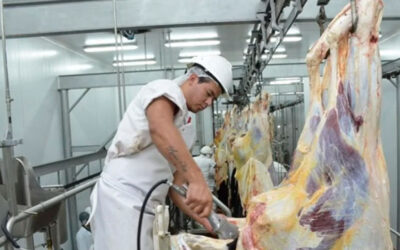 Trabajadores del Frigorífico HV denuncian que la empresa adeuda salarios de noviembre y todavía no cobraron el aguinaldo