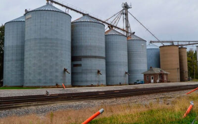 Nuevo aumento trimestral para empleados de Comercio de la rama acopio cerealero