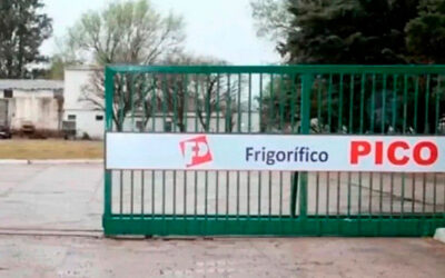 Frigorífico Pico suspende a 300 trabajadores tras caída en la faena