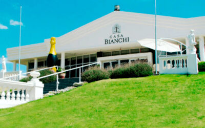 Bodegas Bianchi en crisis: gremio vitivinícola cuestiona gestión y pide plan de contingencia