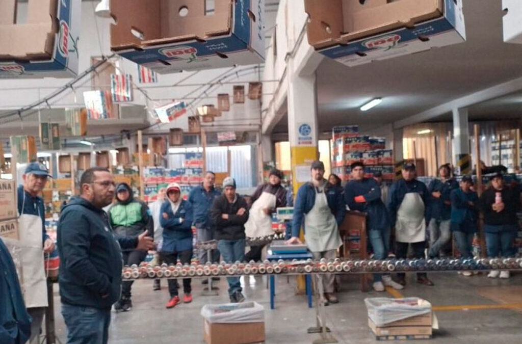 Paritaria de la fruta: el salario de empaque superará los 2 millones de pesos en el inicio de la temporada