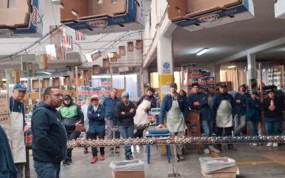 Paritaria de la fruta: el salario de empaque superará los 2 millones de pesos en el inicio de la temporada