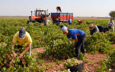 Trabajadores rurales: RENATRE sube la prestación por desempleo y supera los $350 mil