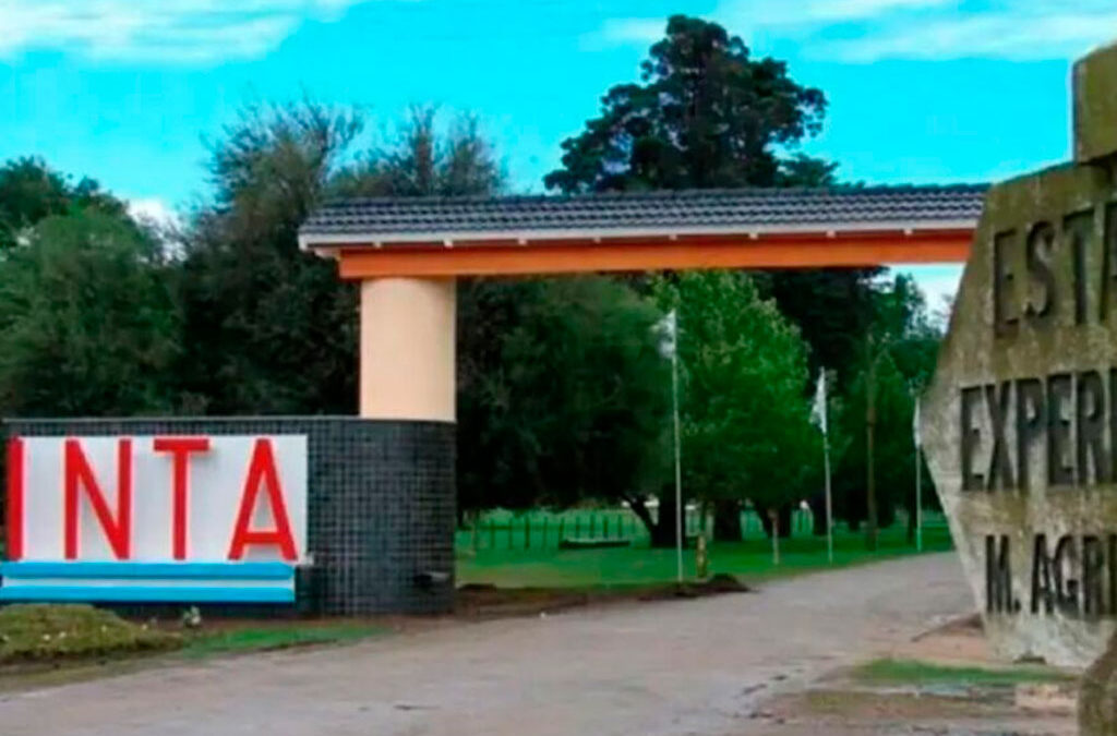 Nuevo ataque de Milei al INTA: ejecutará 1.300 nuevos despidos y rematará la mitad de las tierras