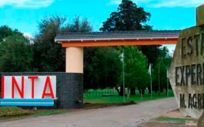 Nuevo ataque de Milei al INTA: ejecutará 1.300 nuevos despidos y rematará la mitad de las tierras