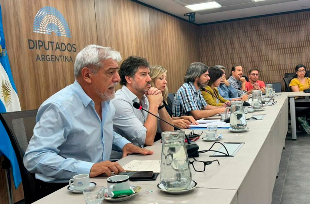 Reforma laboral en Argentina: se realizó una Audiencia Internacional en Diputados con participación sindical y jurídica