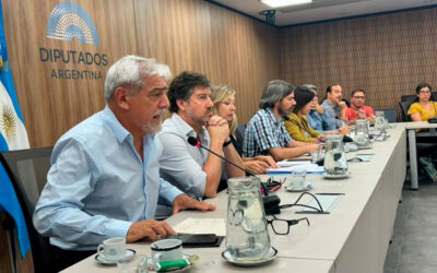 Reforma laboral en Argentina: se realizó una Audiencia Internacional en Diputados con participación sindical y jurídica