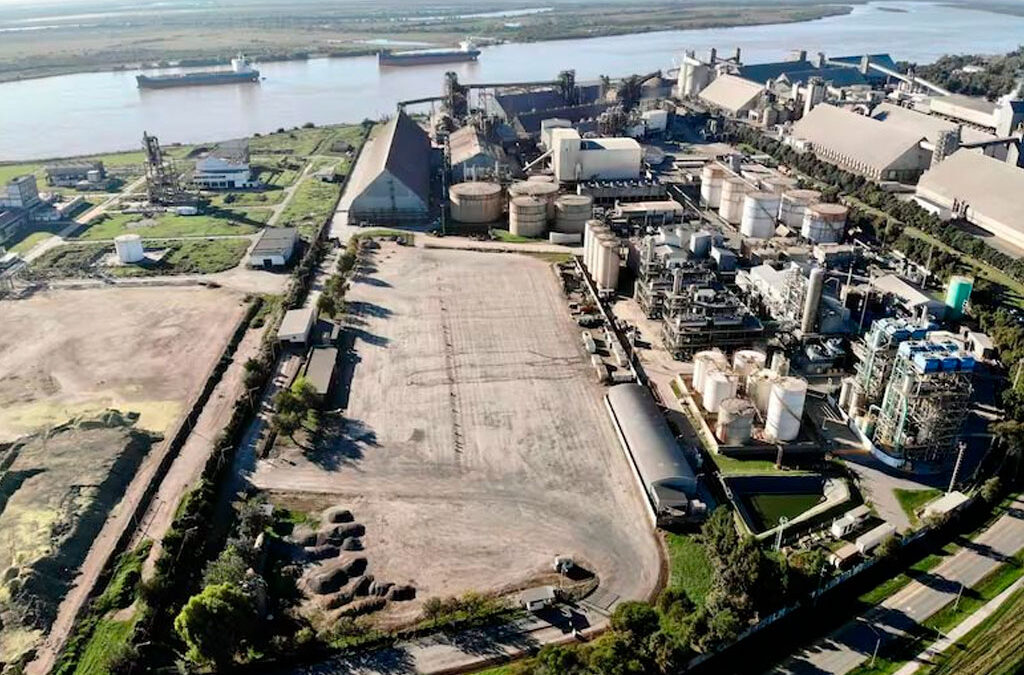 Paro aceitero y reforma laboral: Ciara y el CEC denuncian una “resistencia corporativa”