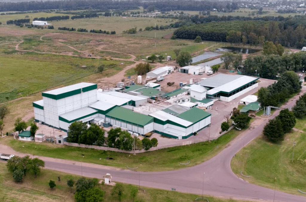 Crisis en la industria: el Frigorífico General Pico despidió a 190 trabajadores y denuncian deudas indemnizatorias