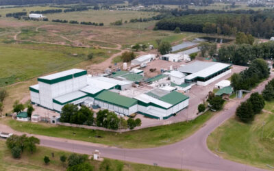 Crisis en la industria: el Frigorífico General Pico despidió a 190 trabajadores y denuncian deudas indemnizatorias