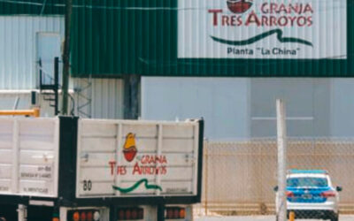 Empleo en riesgo: alertan por la llegada de pollo brasileño y advierten que Granja Tres Arroyos “está herida de muerte”