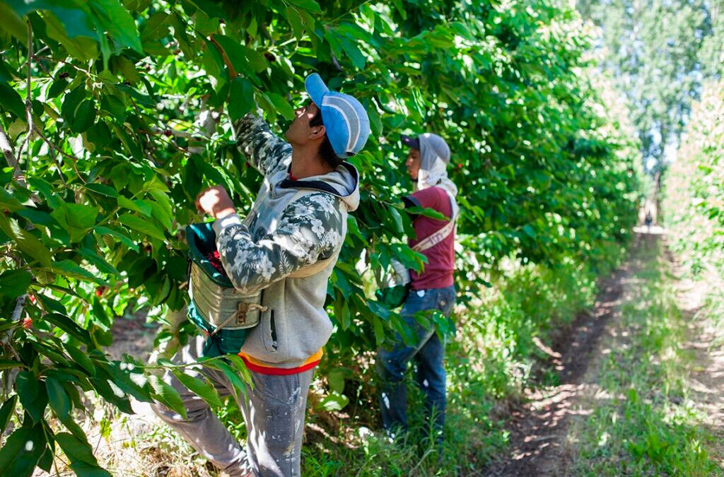 Prestación por desempleo rural: RENATRE ajusta los montos y supera los $360 mil