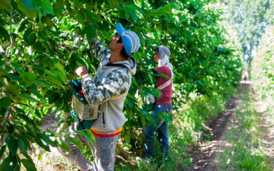 Prestación por desempleo rural: RENATRE ajusta los montos y supera los $360 mil