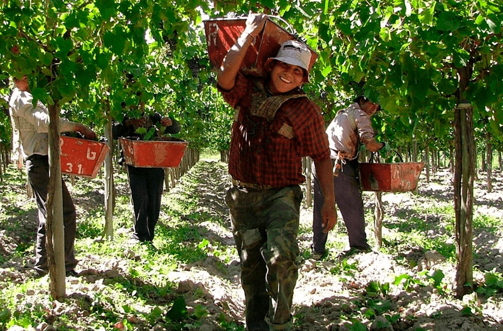 Ya rige la reforma laboral: ¿qué cambia con respecto al trabajo agrario?
