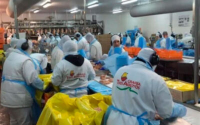 Granja Tres Arroyos propone reducir la jornada laboral y los gremios definirán en asambleas