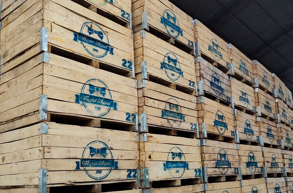 Crónicas del ajuste libertario: trabajadores de Moño Azul aceptaron que les recorten el sueldo para seguir trabajando