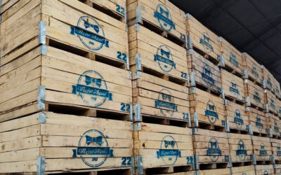 Crónicas del ajuste libertario: trabajadores de Moño Azul aceptaron que les recorten el sueldo para seguir trabajando
