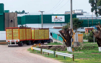 Granja Tres Arroyos redujo la faena, los salarios y las jornadas para evitar despidos masivos
