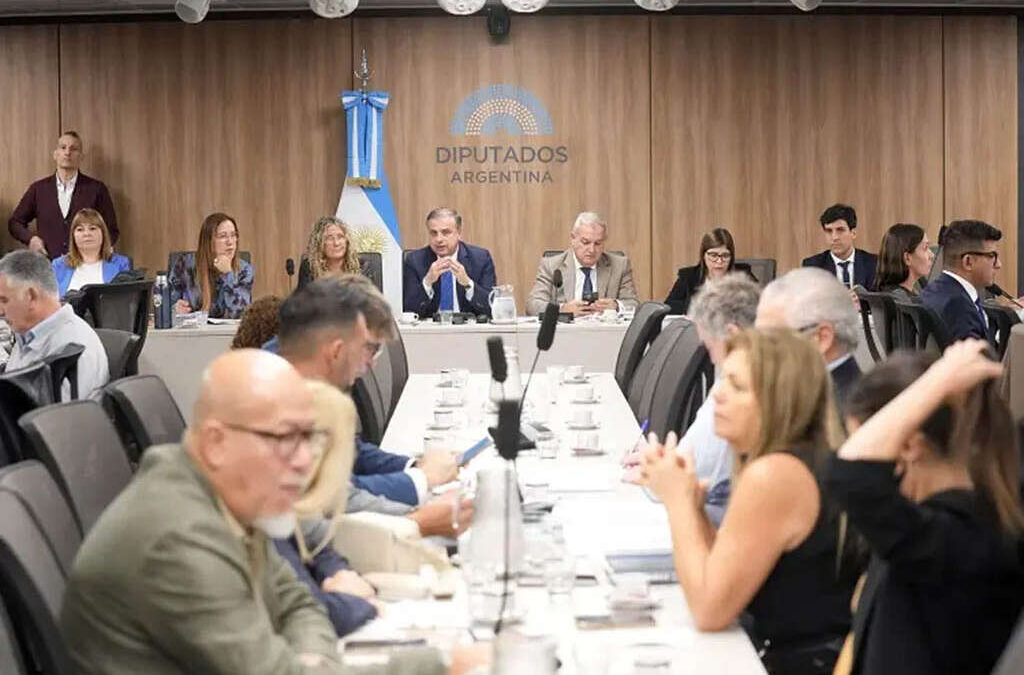 Empresarios textiles denunciaron en Diputados cierres masivos y competencia desigual con plataformas chinas, y reclamaron una ley de emergencia Pyme: «Nos hacen bullying»