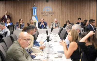 Empresarios textiles denunciaron en Diputados cierres masivos y competencia desigual con plataformas chinas, y reclamaron una ley de emergencia Pyme: «Nos hacen bullying»