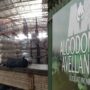 Horas determinantes para el futuro de Algodonera Avellaneda y de las fuentes de trabajo de su personal