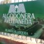 La algodonera de Vicentin no paga sueldos desde diciembre