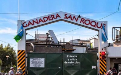 Más de 26 mil empresas cerraron sus puertas desde que Javier Milei llegó a la presidencia