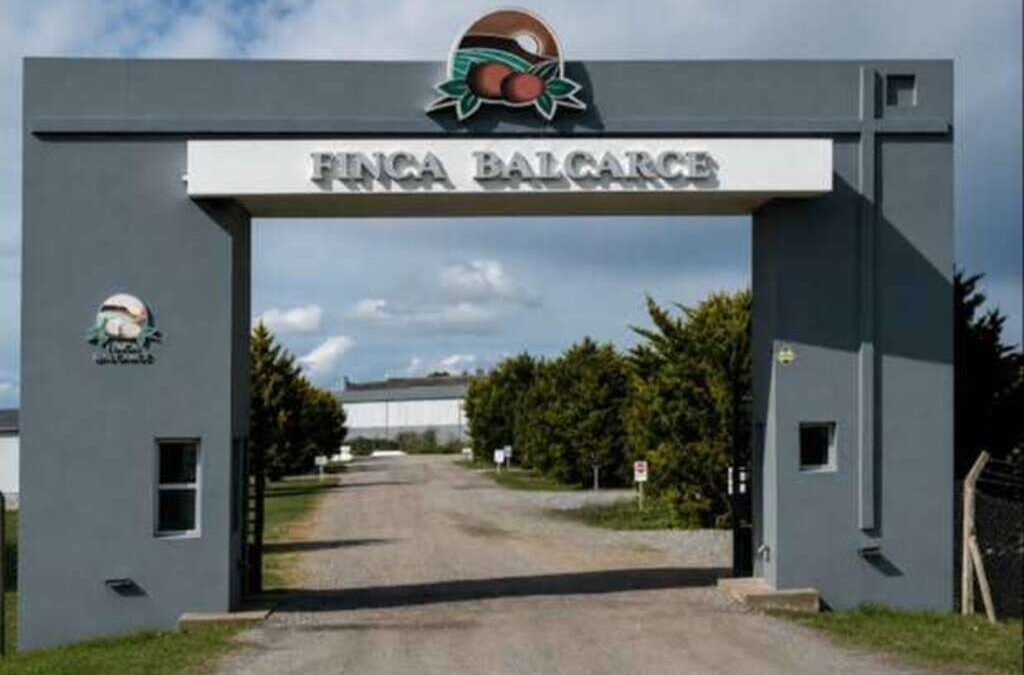 Cerró una histórica fábrica de papas de Balcarce y todos sus trabajadores quedaron en la calle