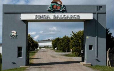 Cerró una histórica fábrica de papas de Balcarce y todos sus trabajadores quedaron en la calle