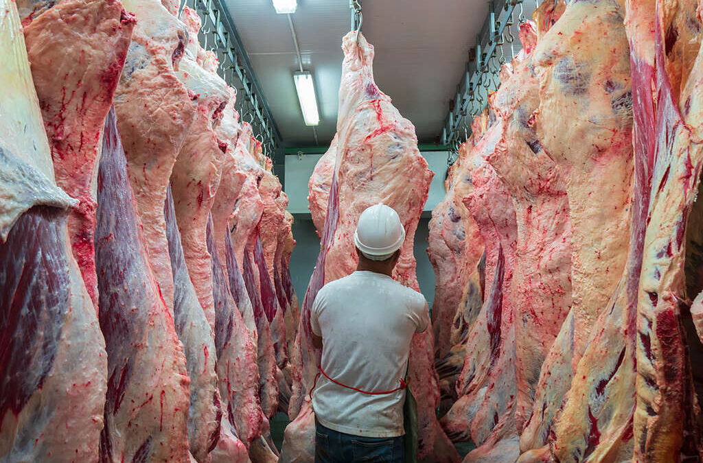 Viedma: la Justicia ordenó al Sindicato de la Carne de Río Negro devolver cuotas descontadas a trabajadores no afiliados