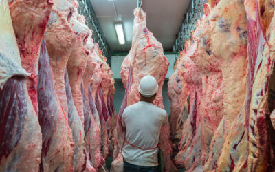 Viedma: la Justicia ordenó al Sindicato de la Carne de Río Negro devolver cuotas descontadas a trabajadores no afiliados