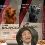 La crisis libertaria del consumo le llega hasta los perros premium: Vitalcan confirmó que no podrá pagar en tiempo y forma los sueldos ni el aguinaldo