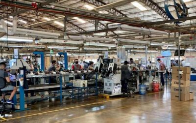 La fábrica de calzado Dass Eldorado cerrará definitivamente el 17 de julio y dejará a sus últimos 150 trabajadores sin empleo