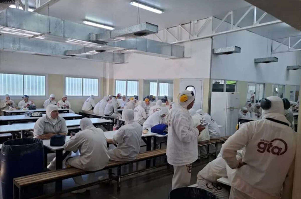 Gremios avícolas y de los alimentos salen a denunciar falta de pagos en el Grupo GTA
