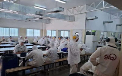 Gremios avícolas y de los alimentos salen a denunciar falta de pagos en el Grupo GTA
