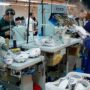 Cerró la fábrica de zapatillas que producía para Nike y Adidas y dejó a más de 150 trabajadores sin empleo en Misiones