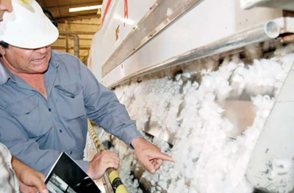 Desmotadores de algodón cerraron una paritaria récord con una suba acumulada del 44,5 % y salarios de más de 2,1 millones de pesos