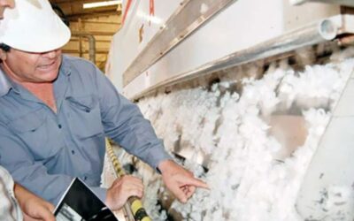 Desmotadores de algodón cerraron una paritaria récord con una suba acumulada del 44,5 % y salarios de más de 2,1 millones de pesos
