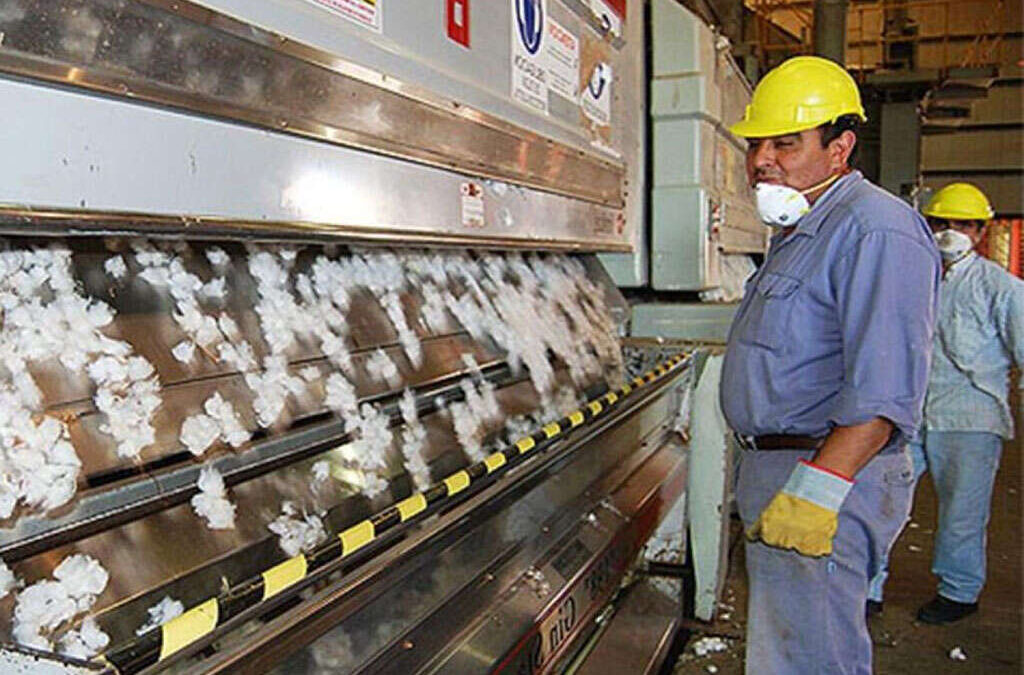 Paritaria desmotadora: acuerdo con aumento del 44,5%, bonos de hasta $120.000 y salarios superiores a $2 millones