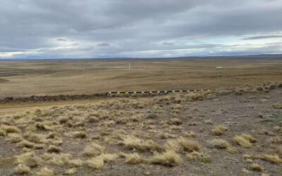 Ley de extranjerización de tierras: La CGT, CTA y UTEP marcharán al Congreso y a Plaza de Mayo