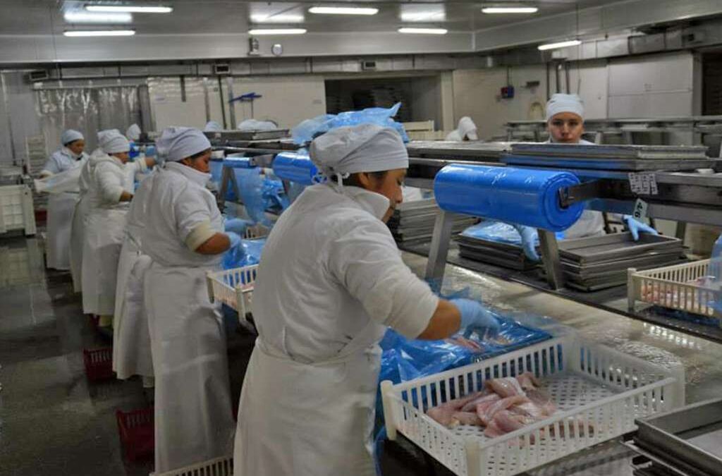 Disputa sindical del rubro alimentos pesqueros en Santa Cruz: el SITFAL lanzó una campaña de afiliación y el STIA respondió con acusaciones de «fraude»